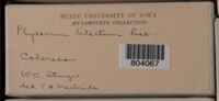 Image Associated With the Occurence